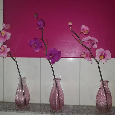 Grimmer * Weil am Rhein