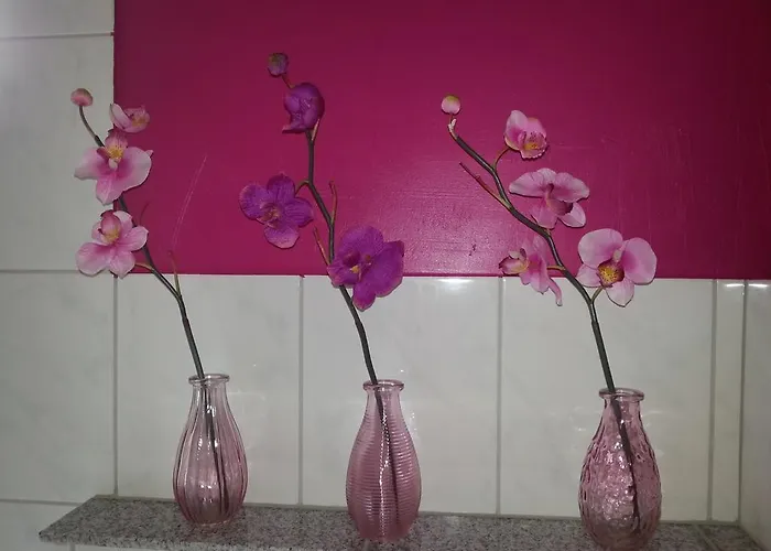 Grimmer * 바일암라인